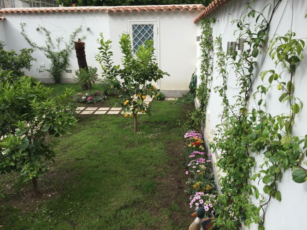 Appartamento Casa Degli Aranci Napoli